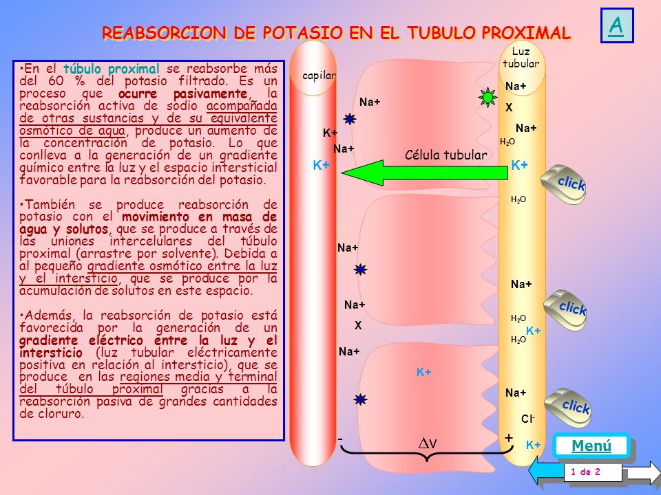 luz tubular luz tubular